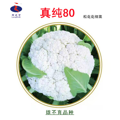 真纯80 松花菜- 厦门龙之子农业科技有限公司