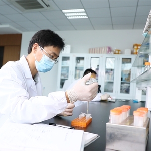 研發蔬菜育苗新技術